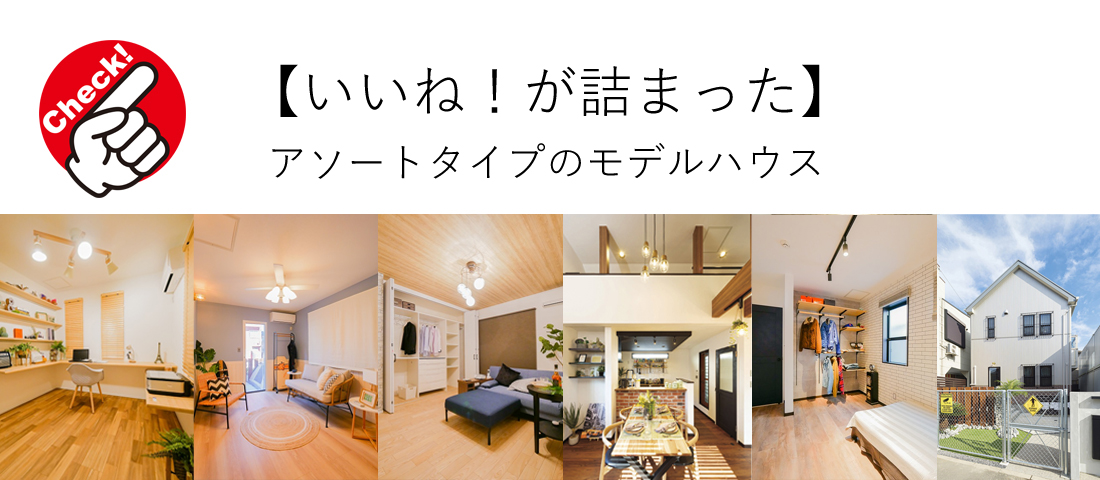 OMIYA-MODEL