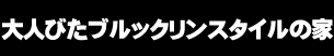大人びたブルックリンスタイルの家
